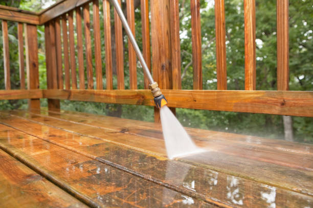 Best Rust Removal  in Ettrick, VA