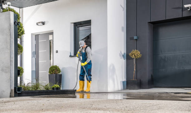Best House Exterior Washing  in Ettrick, VA